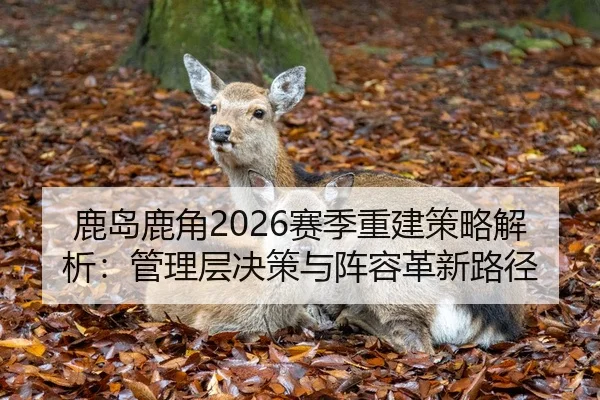 鹿岛鹿角2026赛季重建策略解析：管理层决策与阵容革新路径